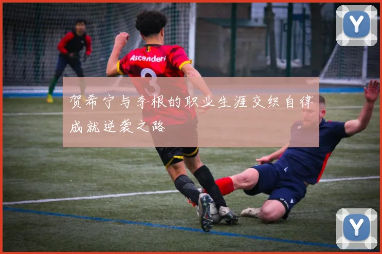 贺希宁与李根的职业生涯交织自律成就逆袭之路